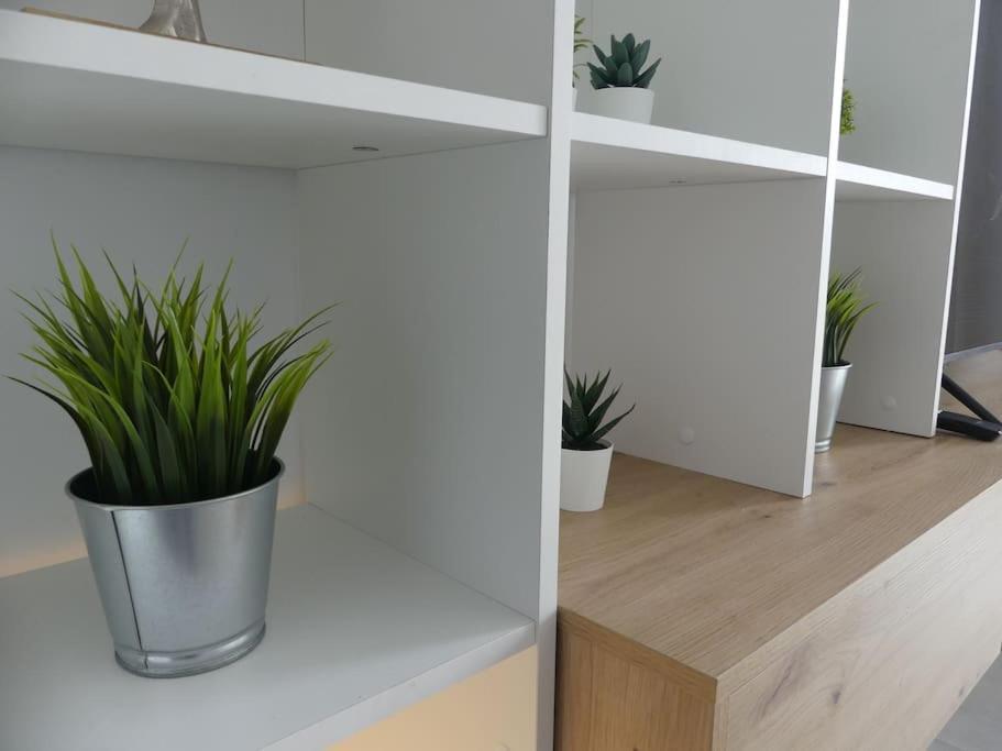 Апартаменти 19 Piso Centrico, Nuevo Y Bien Equipado En La Trinidad Сан-Крістобаль-де-ла-Лагуна Екстер'єр фото